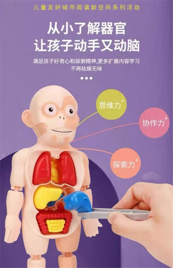 趣味互动——人体探索 科学启蒙_副本_副本.jpg